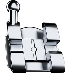 Module 1 — Multi-attaches VS Gouttières